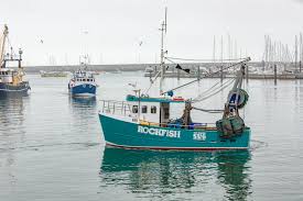 Fishing Boat Accessories 