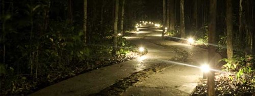 Easy Outdoor Lighting Ideas