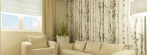 Curtains And Blinds 500X189